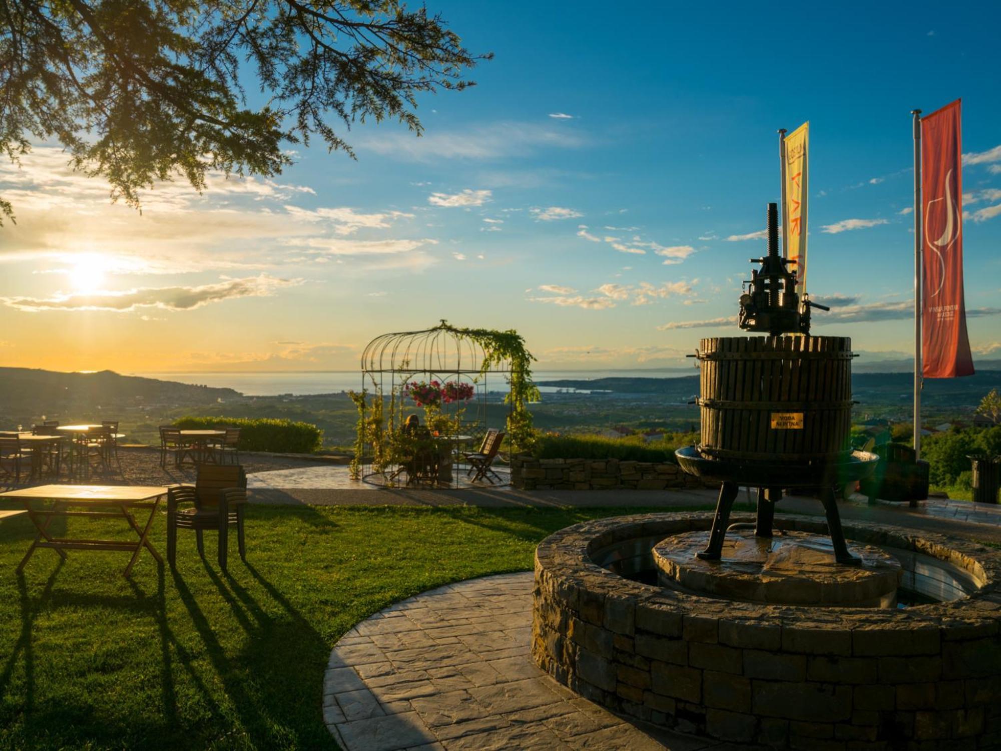 Wine Paradise - Glamping Resort Марезиге Екстериор снимка